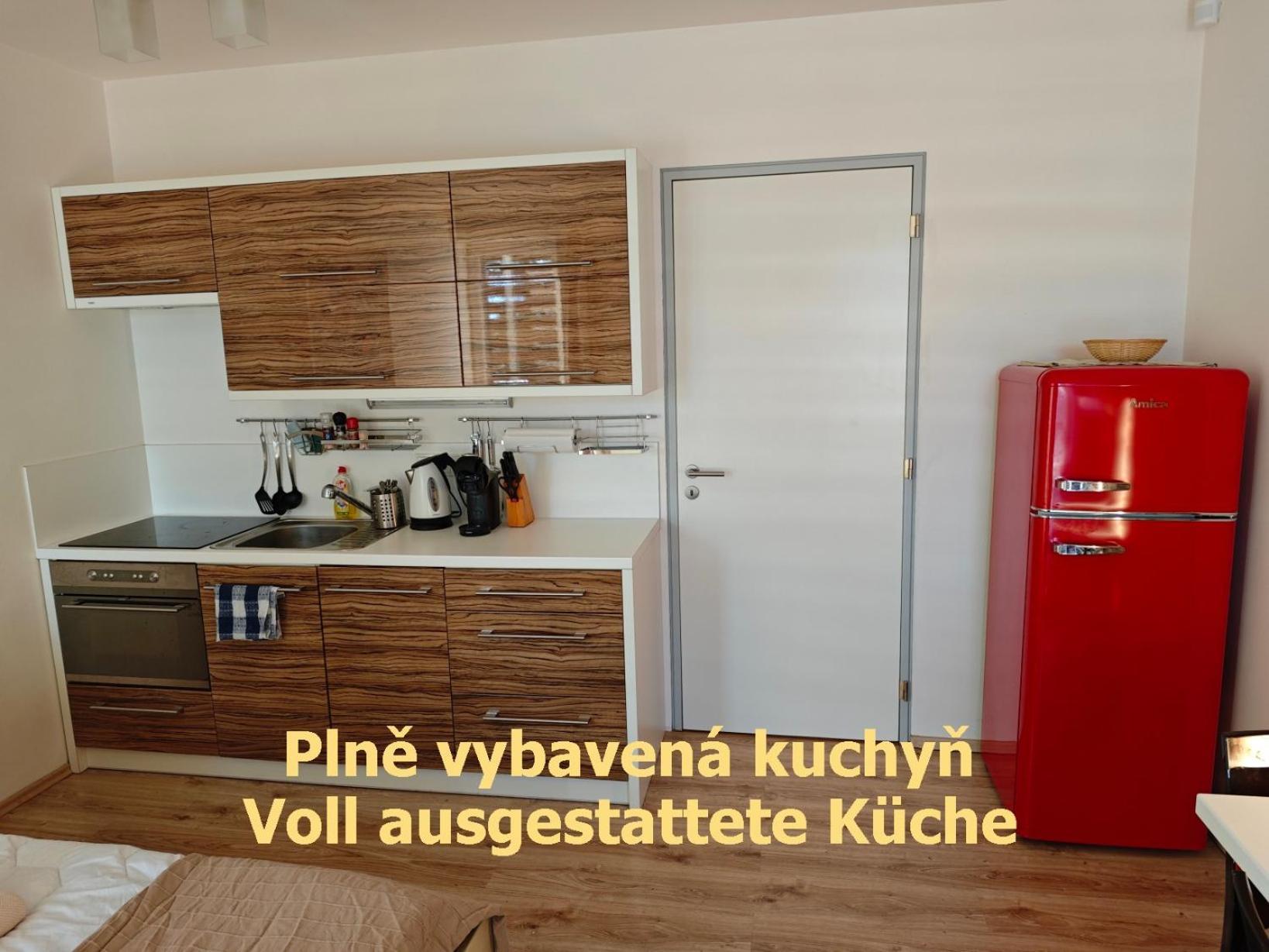 Apartman Sova - Klinovec Лоучна-под-Клиновцем Экстерьер фото